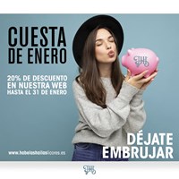 CUESTA DE ENERO - 20% de Descuento